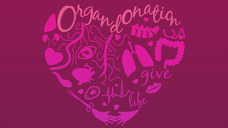 What is the significance of donating organs?