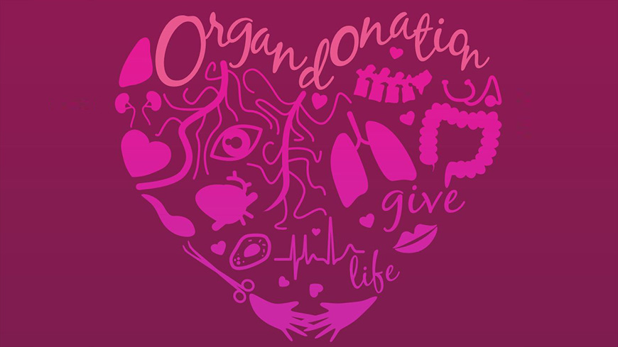 What is the significance of donating organs?