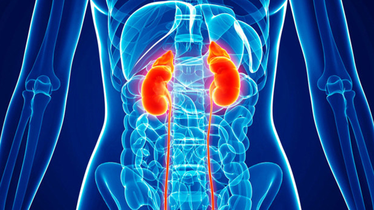 How Common is Chronic Kidney Disease? Which Hospital is best to get the right treatment?