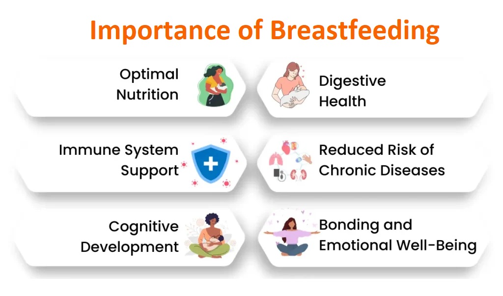 importance of breastfeeding