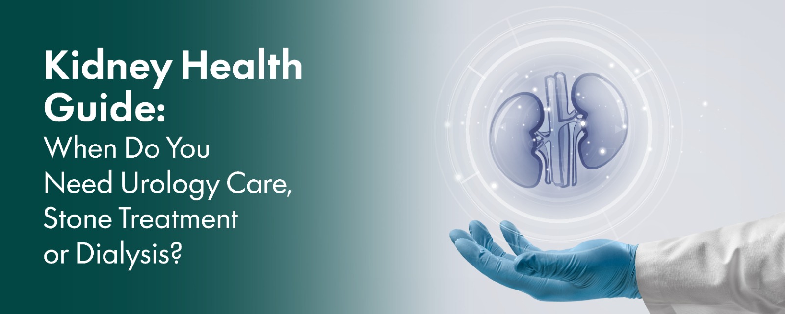 Kidney Health Guide: When Do You Need Urology Care, Stone Treatment or Dialysis?