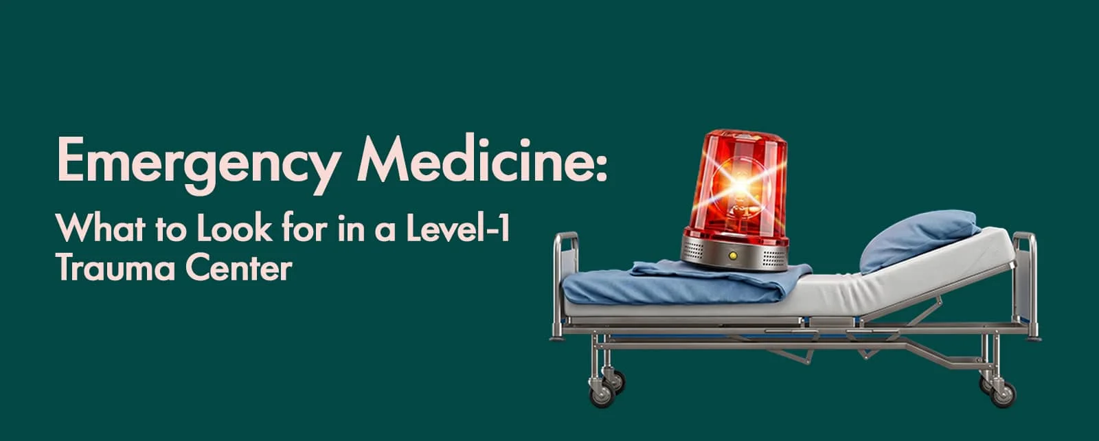 Emergency Medicine: What to Look for in a Level-1 Trauma Center