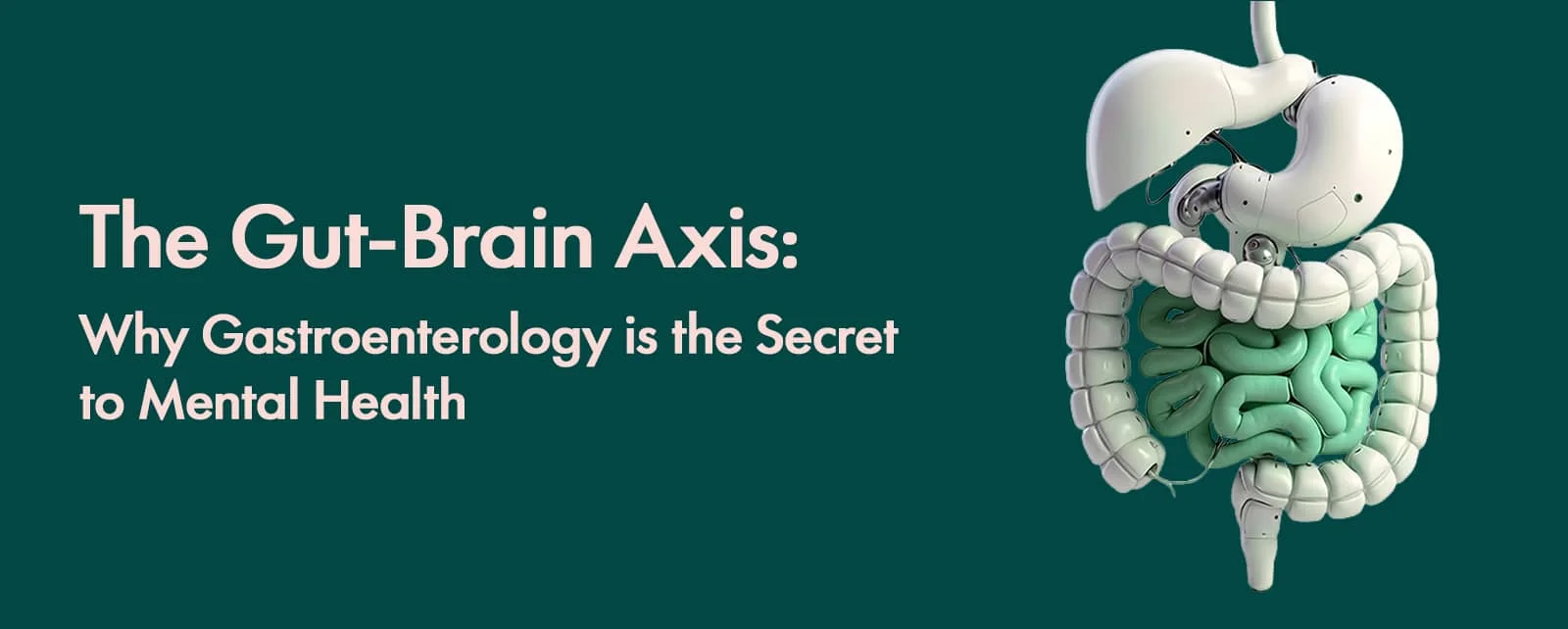 The Gut-Brain Axis: Why Gastroenterology is the Secret to Mental Health