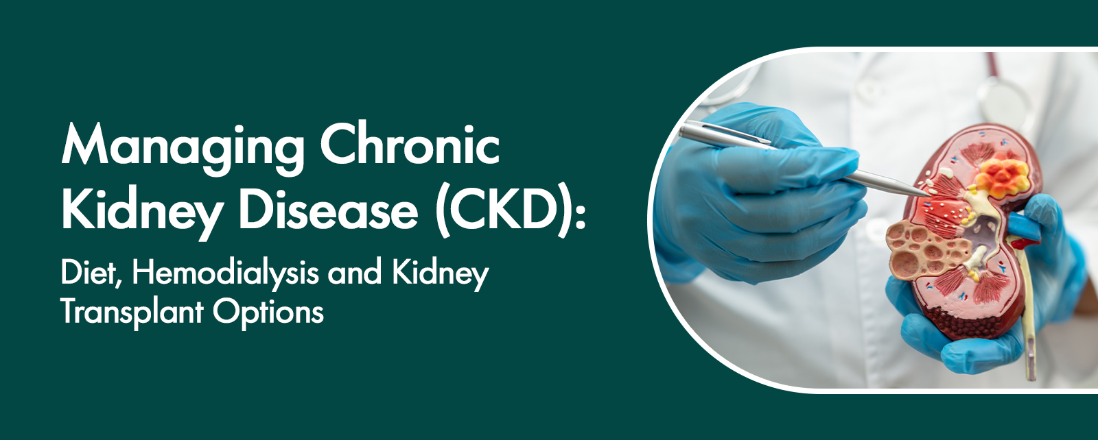 Managing Chronic Kidney Disease (CKD): Diet, Hemodialysis and Kidney Transplant Options